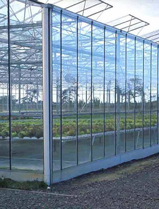 福建智能玻璃温室大棚解决方案