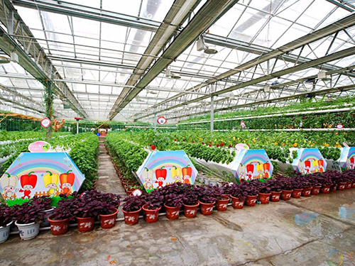 滁州玻璃温室农业观光园