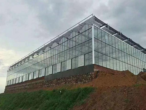 郑州玻璃大棚温室