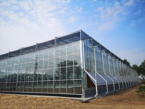 葫芦岛玻璃温室