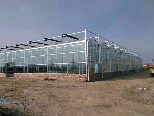 滁州连栋玻璃温室